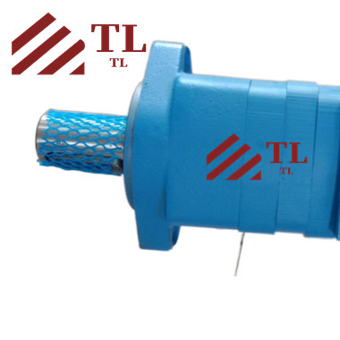 Elektrische Teile Hydraulischer Motor M02119AH16AA0100013000000ABAAF für Kundenbedarf