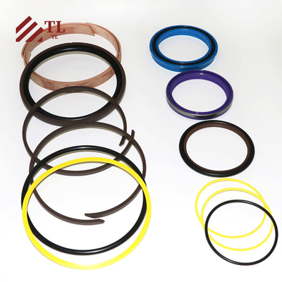 Boom SEAL KIT 550-30289 für JCB 4DX 55030289