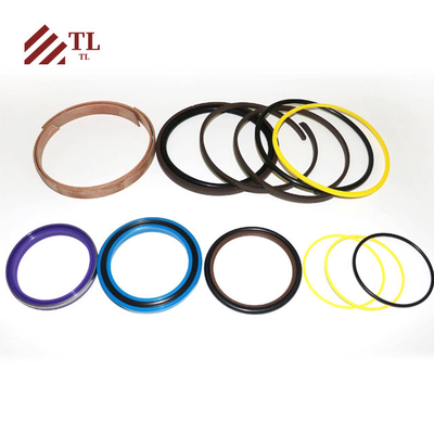 Boom SEAL KIT 550-30289 für JCB 4DX 55030289